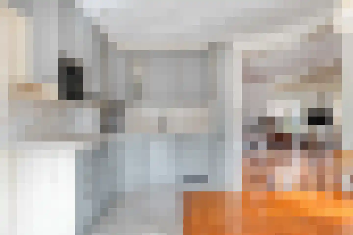 van Ostadelaan 46 Heerhugowaard thumbnail 25