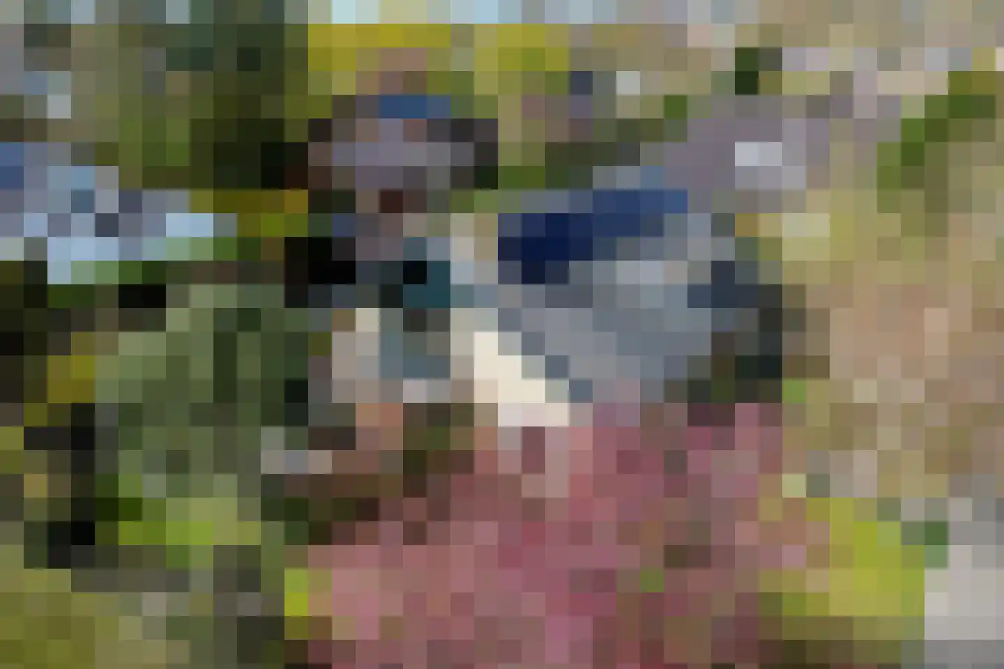 van Ostadelaan 46 Heerhugowaard thumbnail 47