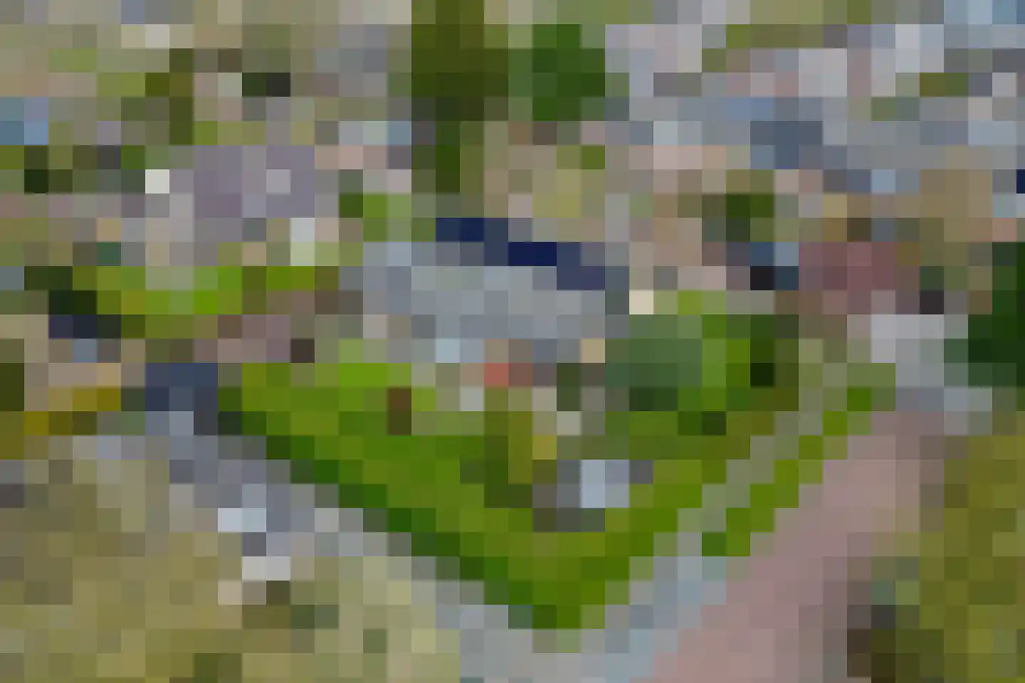 van Ostadelaan 46 Heerhugowaard thumbnail 48