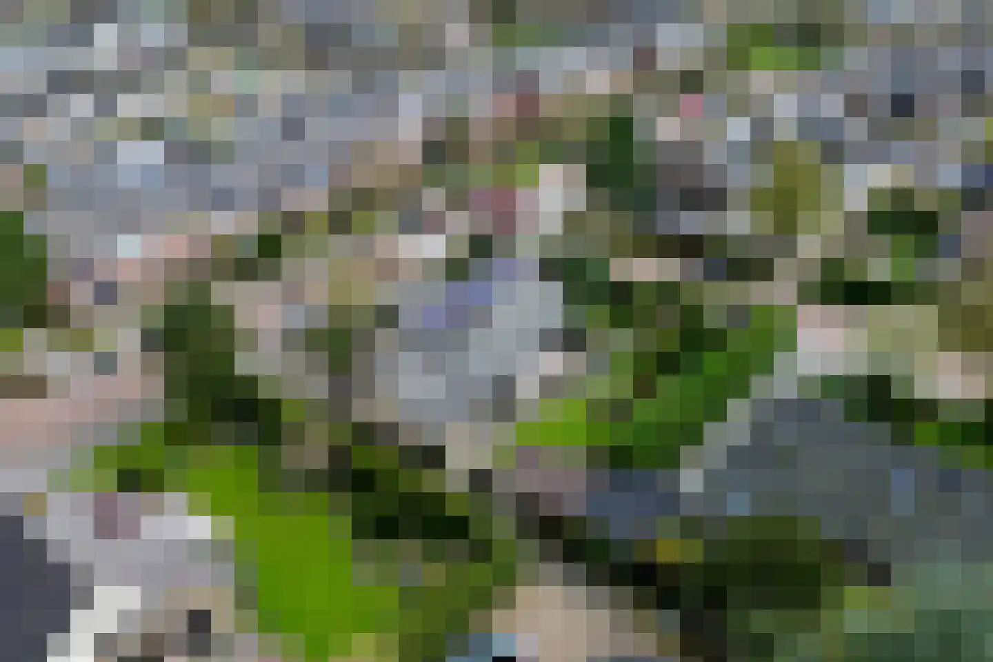 van Ostadelaan 46 Heerhugowaard thumbnail 50