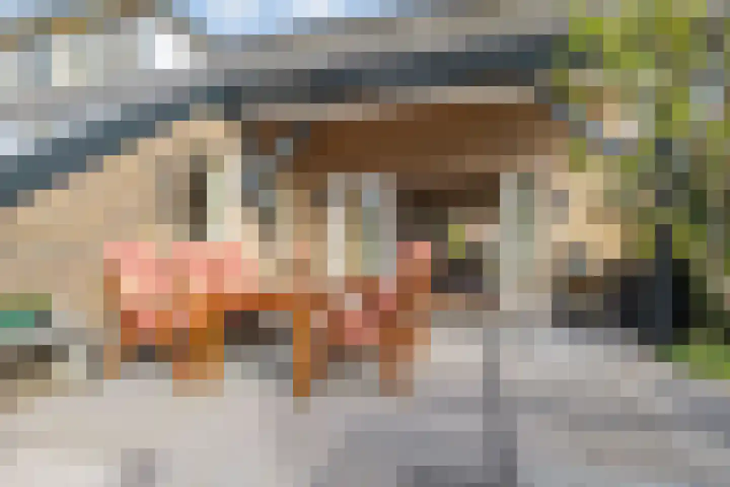 van Ostadelaan 46 Heerhugowaard thumbnail 52