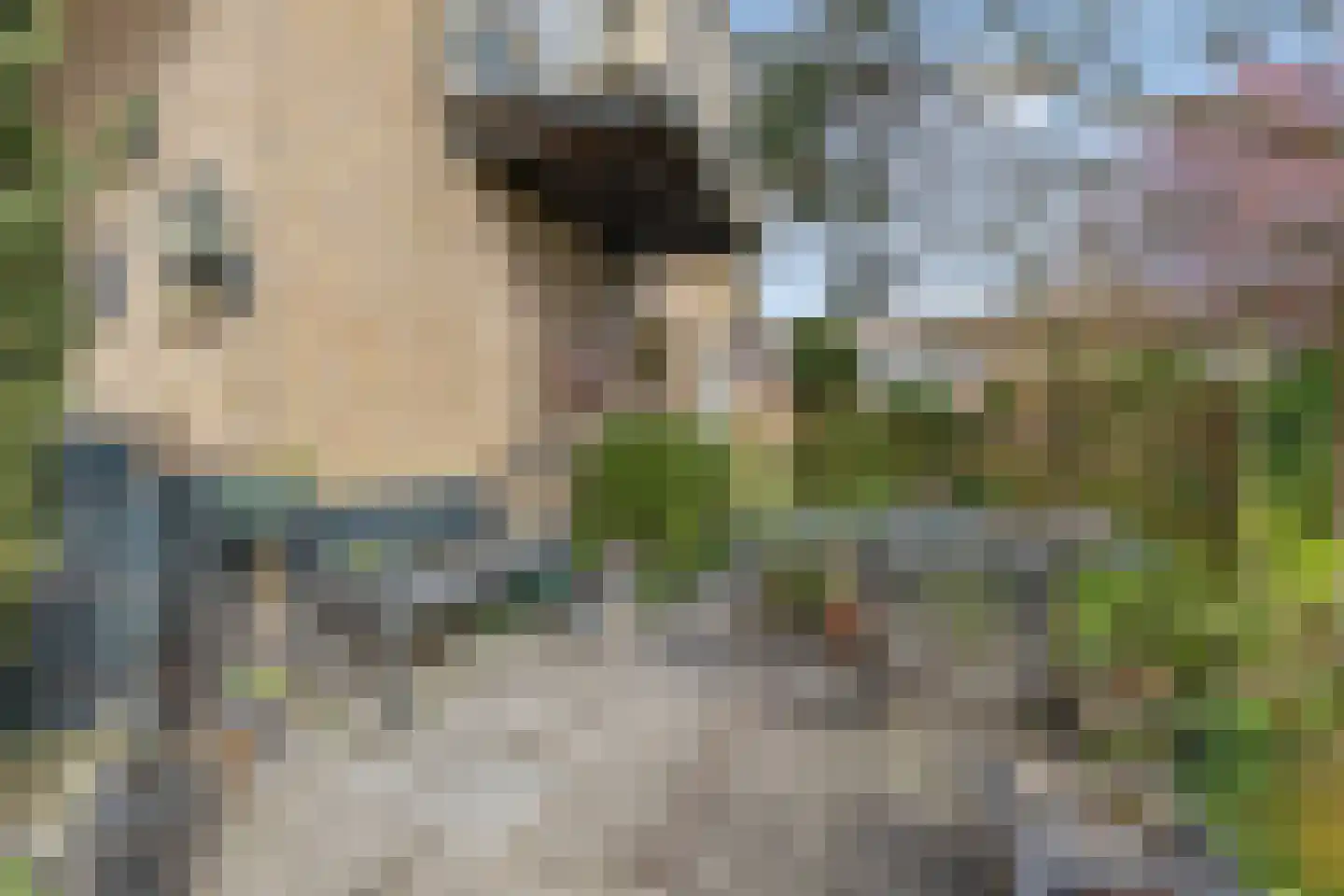 van Ostadelaan 46 Heerhugowaard thumbnail 55