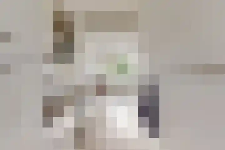 Van Ostadelaan 460 Alkmaar thumbnail 11