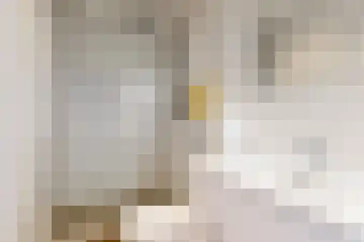 Van Ostadelaan 460 Alkmaar thumbnail 12