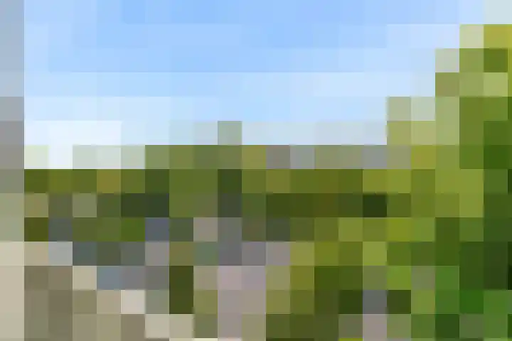 Van Ostadelaan 460 Alkmaar thumbnail 17