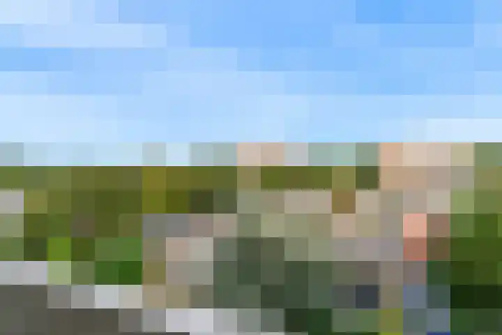Van Ostadelaan 460 Alkmaar thumbnail 18