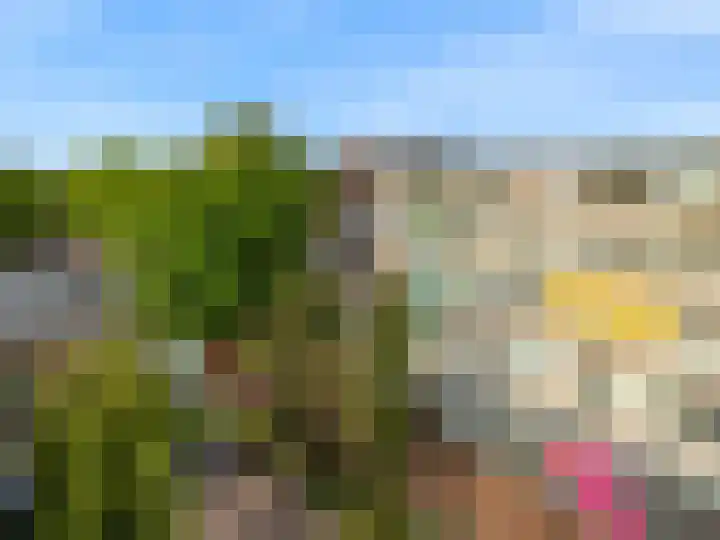 Van Ostadelaan 460 Alkmaar thumbnail 20