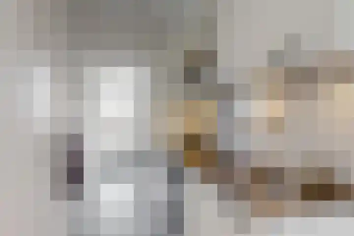 Van Ostadelaan 460 Alkmaar thumbnail 9