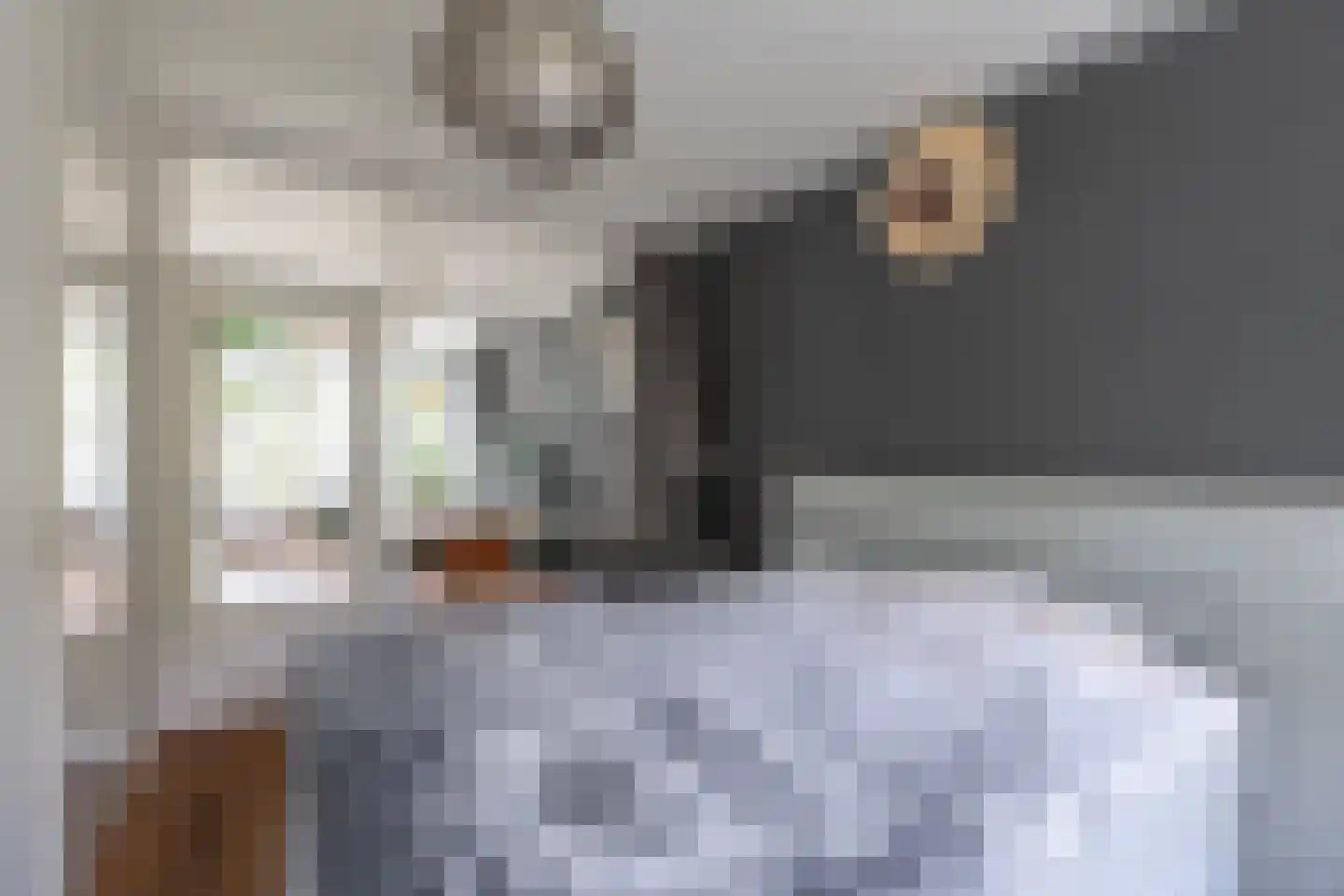 Van Ostadelaan 50 Alkmaar thumbnail 14