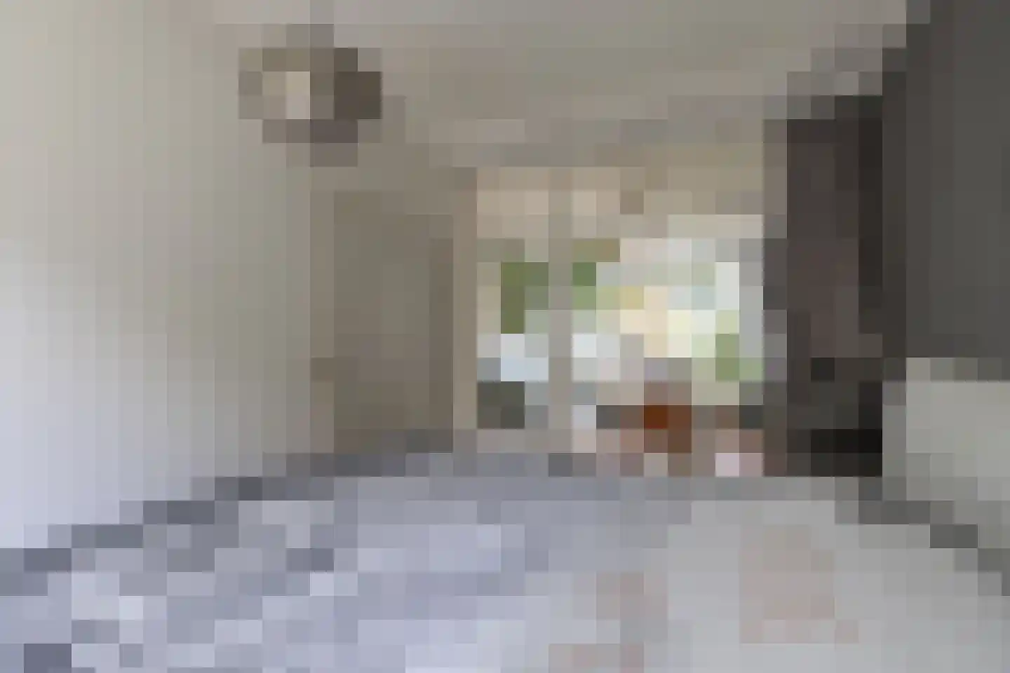 Van Ostadelaan 50 Alkmaar thumbnail 15