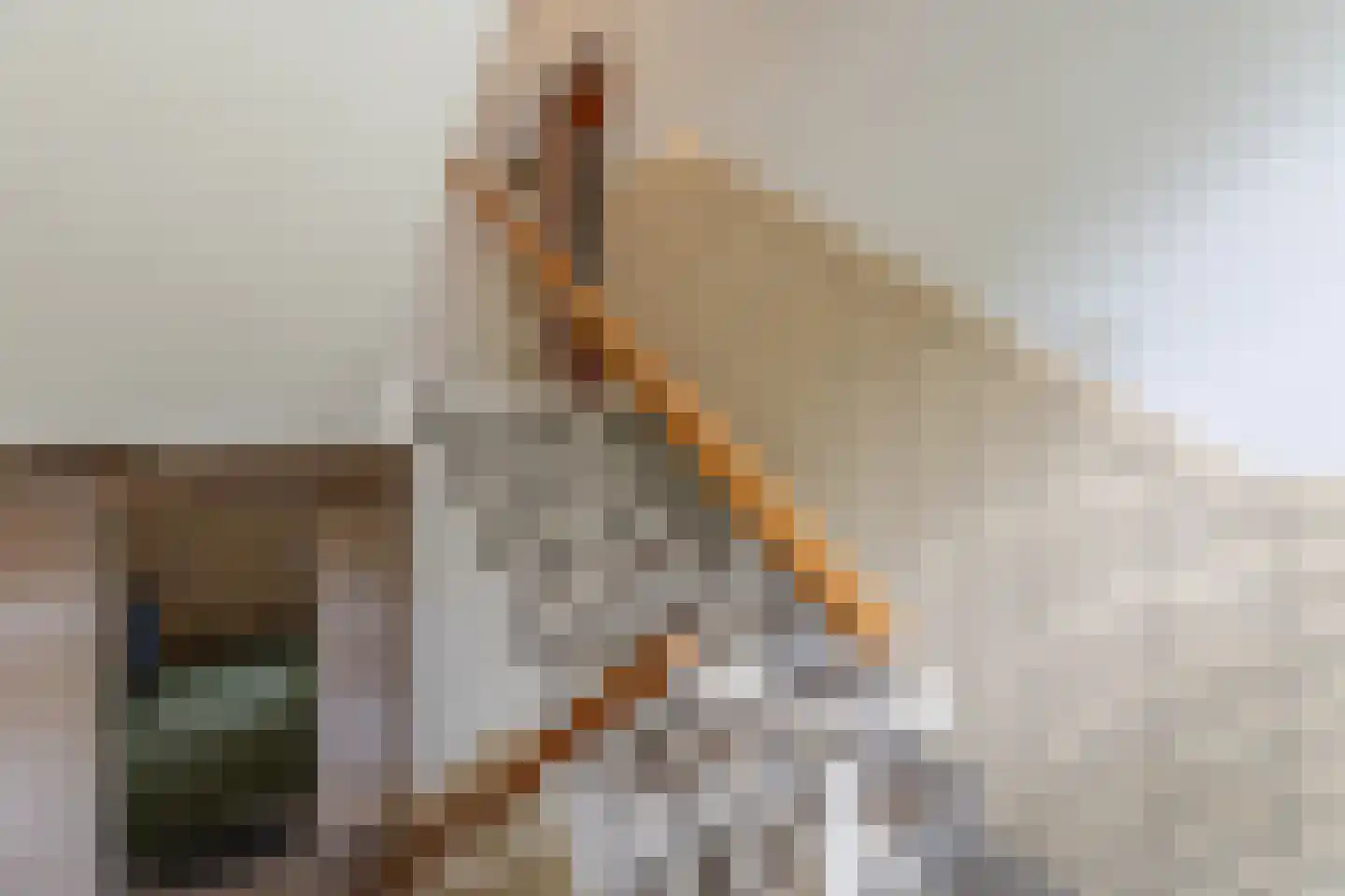 Van Ostadelaan 50 Alkmaar thumbnail 31