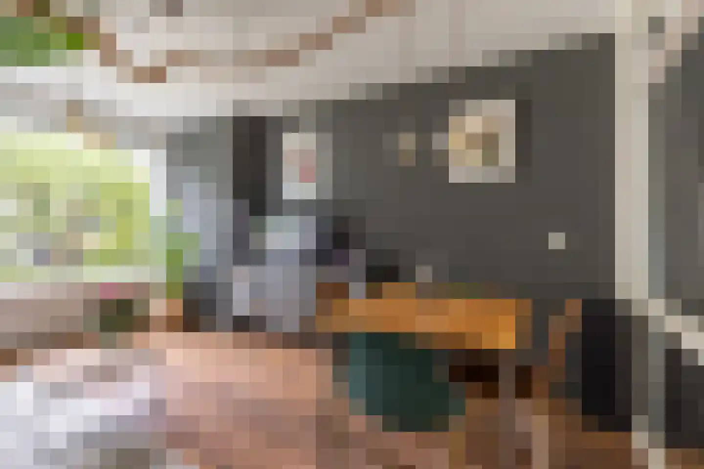 Van Ostadelaan 50 Alkmaar thumbnail 5