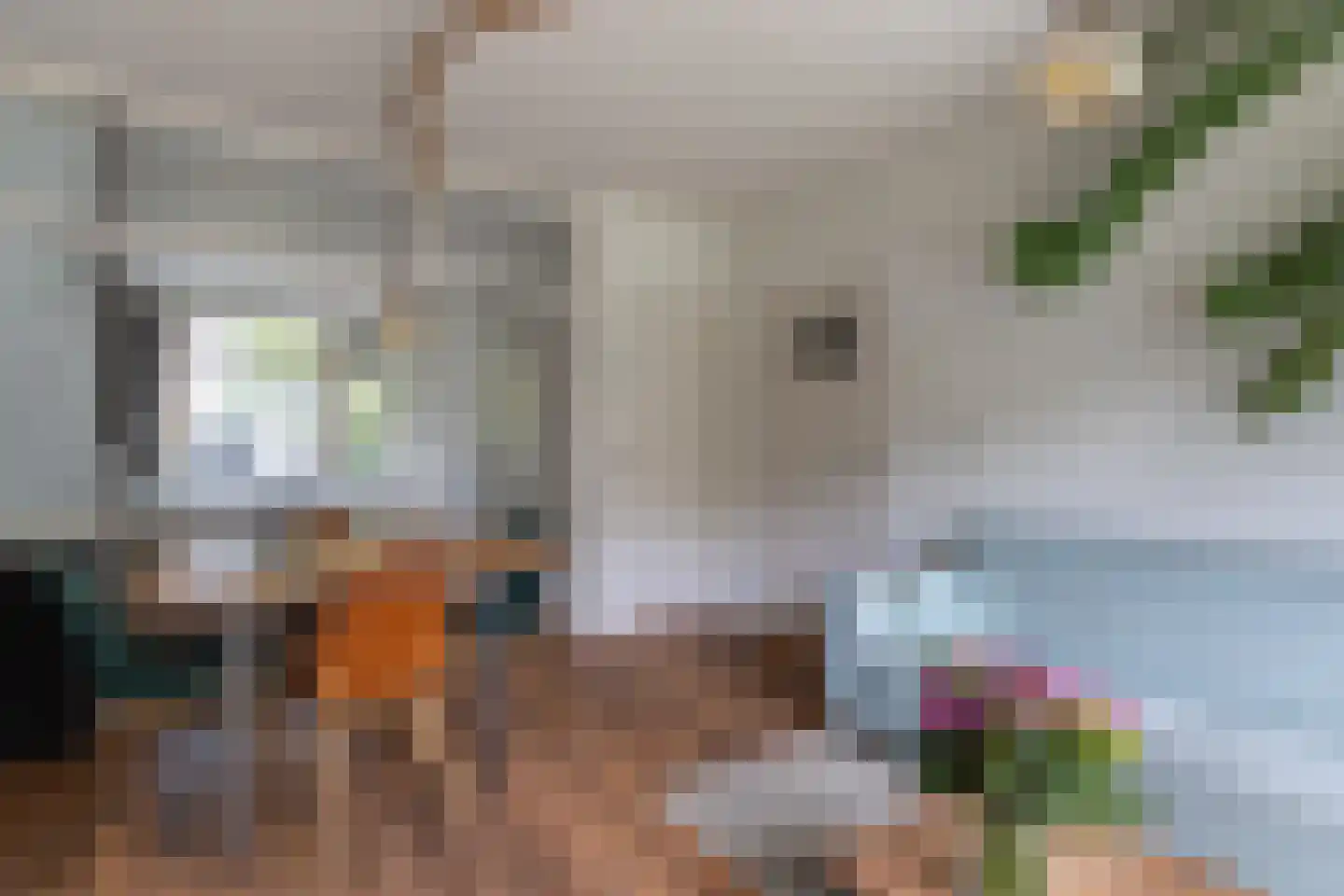Van Ostadelaan 50 Alkmaar thumbnail 8