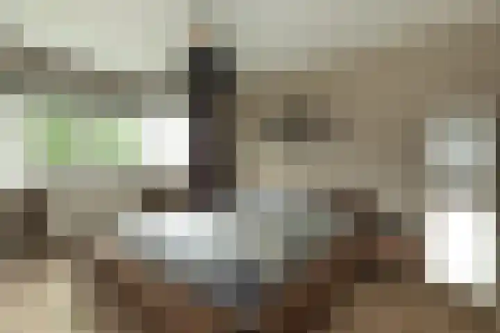 Van Ostadelaan 52 Hilversum thumbnail 14