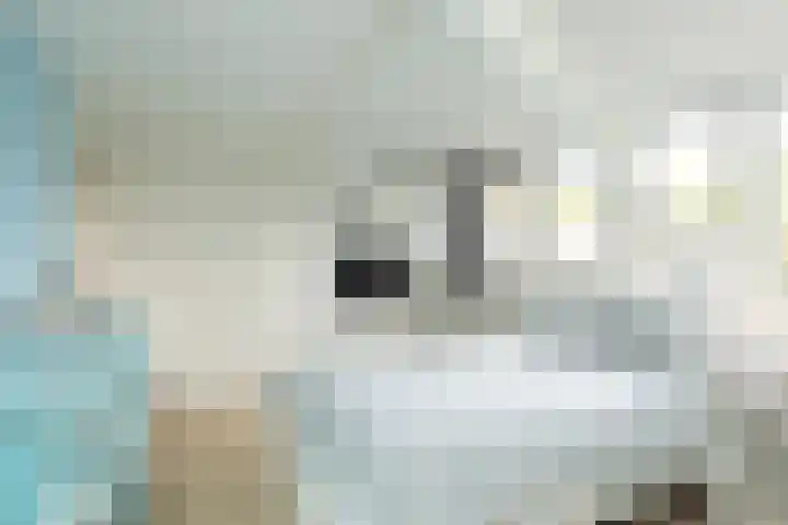 Van Ostadelaan 52 Hilversum thumbnail 27
