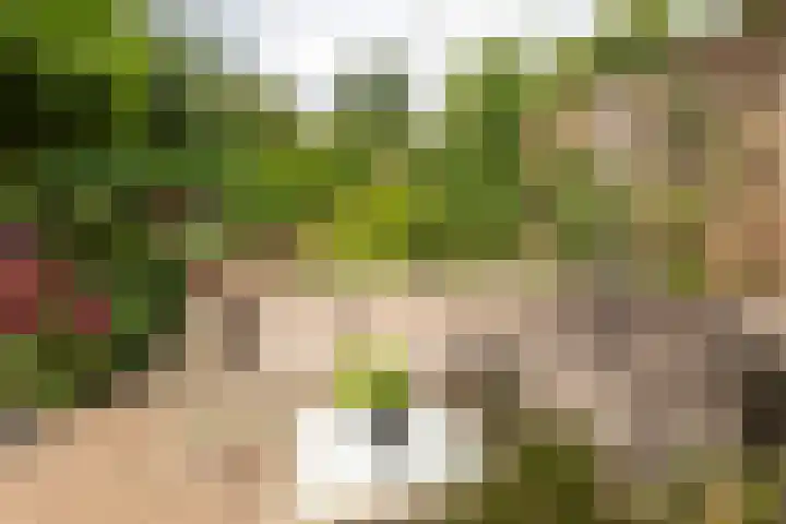 Van Ostadelaan 52 Hilversum thumbnail 30