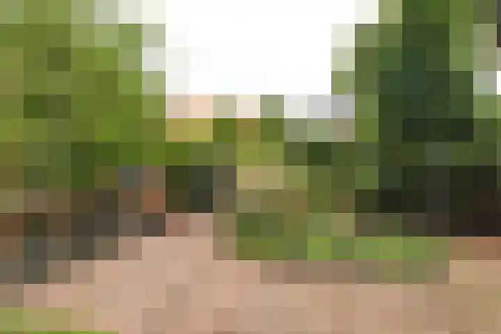 Van Ostadelaan 52 Hilversum thumbnail 32