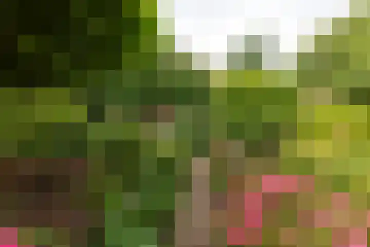 Van Ostadelaan 52 Hilversum thumbnail 34