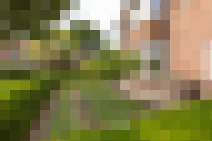 Van Ostadelaan 52 Hilversum thumbnail 36