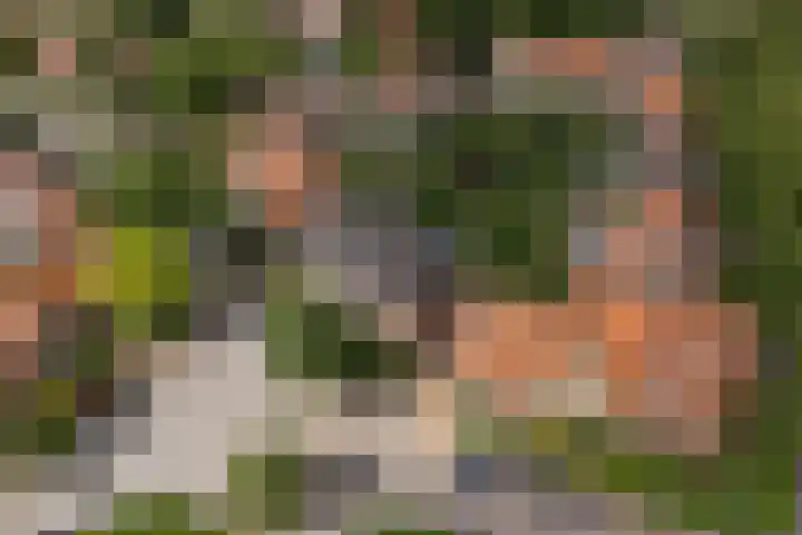 Van Ostadelaan 52 Hilversum thumbnail 37