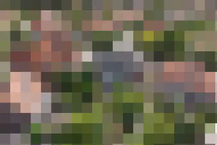 Van Ostadelaan 52 Hilversum thumbnail 38