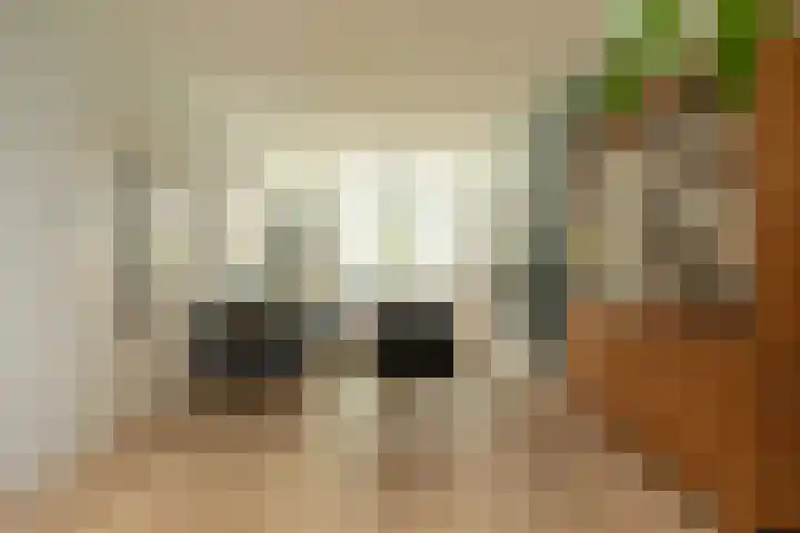 Van Ostadelaan 52 Hilversum thumbnail 8