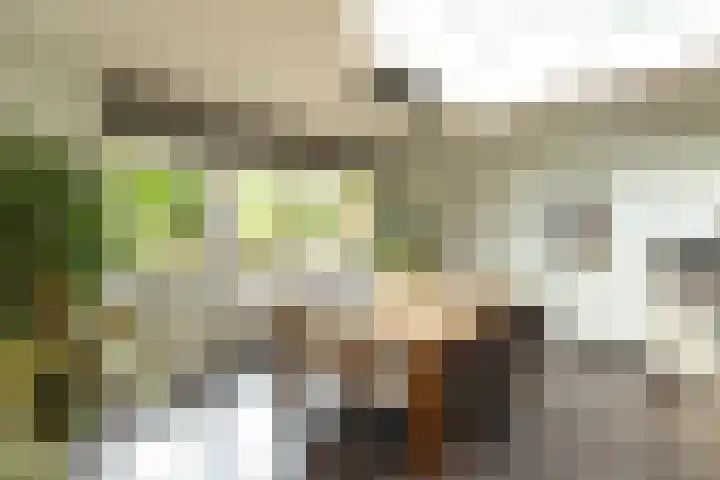 Van Ostadelaan 52 Hilversum thumbnail 9