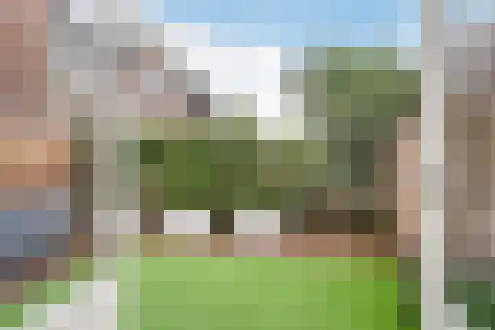 Van Ostadelaan 6 Schiedam thumbnail 10