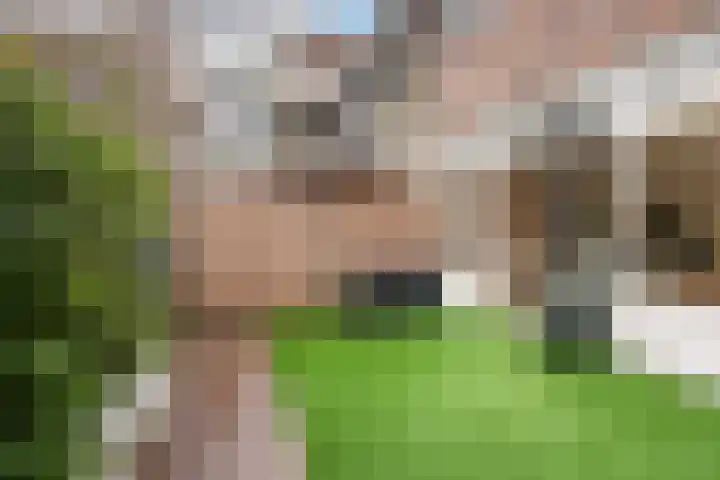 Van Ostadelaan 6 Schiedam thumbnail 12