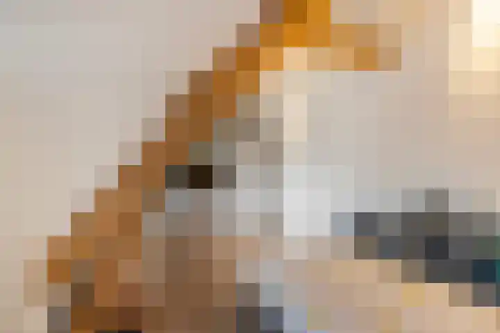 Van Ostadelaan 6 Schiedam thumbnail 37
