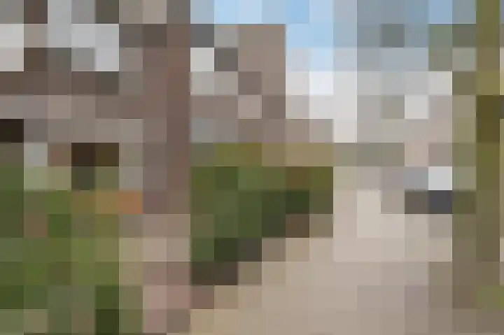 Van Ostadelaan 6 Schiedam thumbnail 41