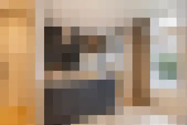 Van Ostadelaan 6 Schiedam thumbnail 6