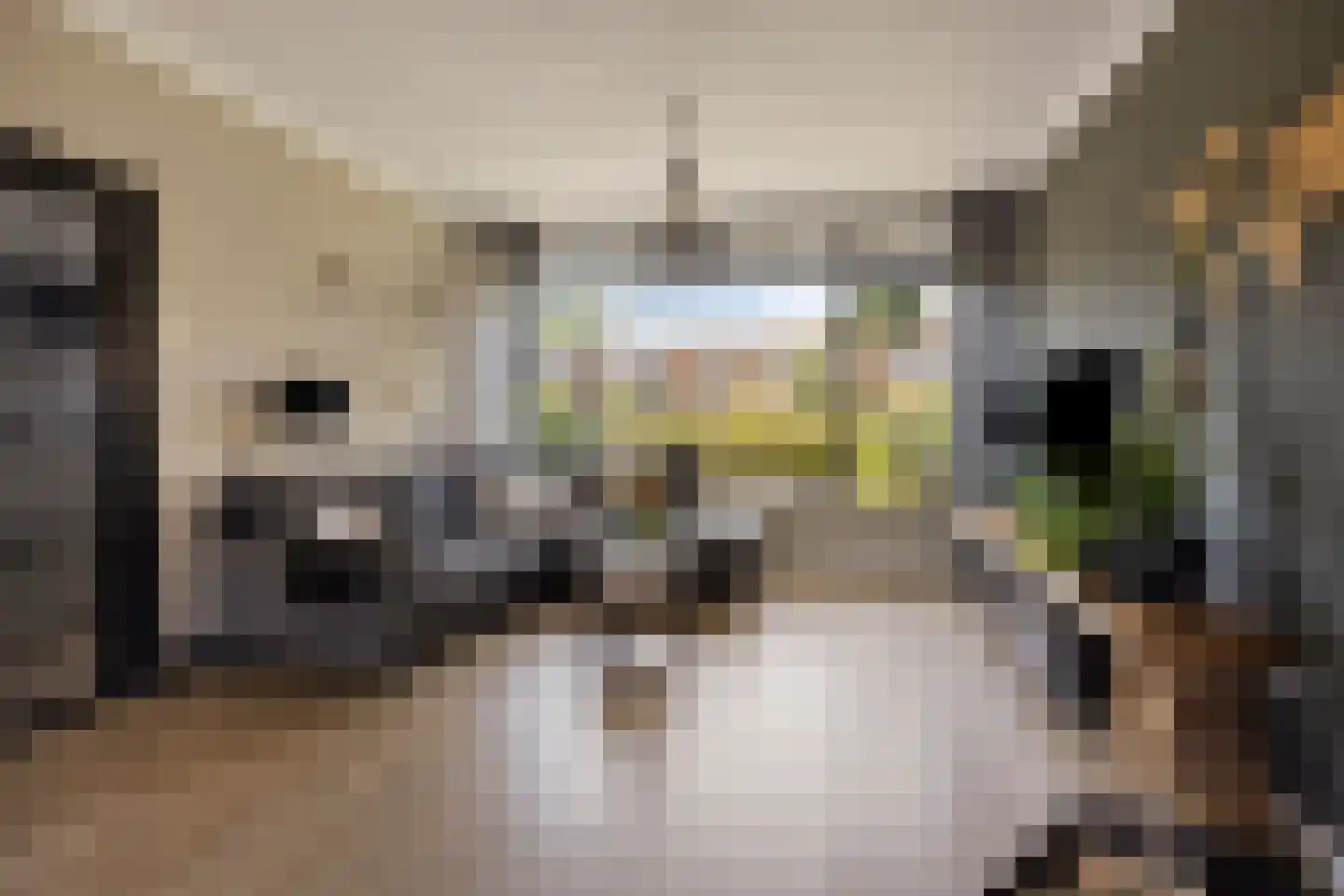 van Ostadelaan 61 Krimpen aan den IJssel thumbnail 25