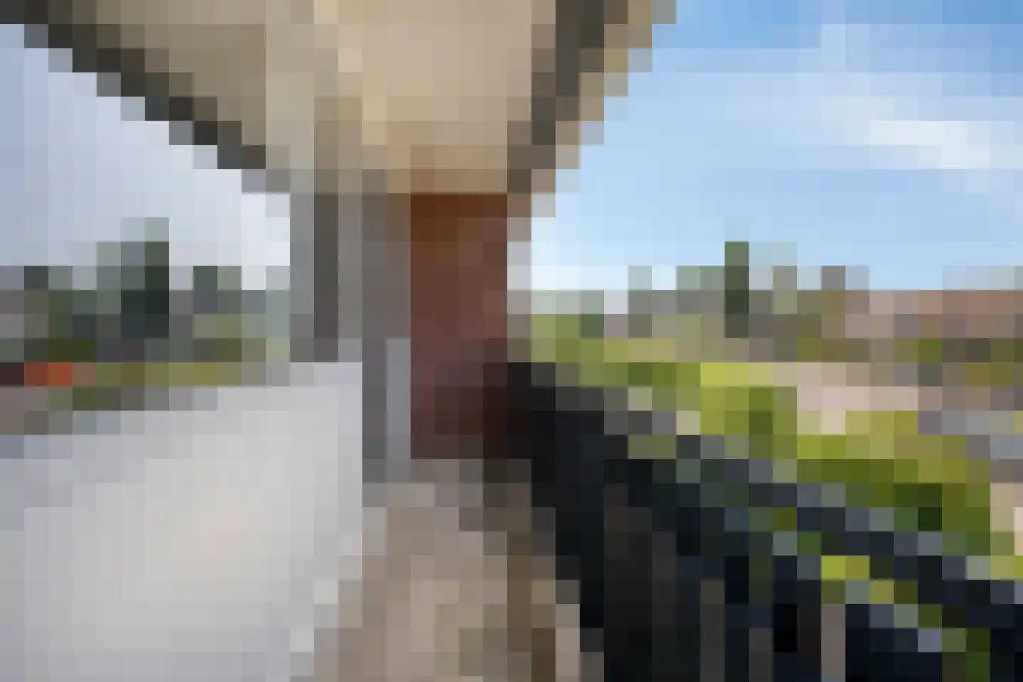van Ostadelaan 61 Krimpen aan den IJssel thumbnail 45
