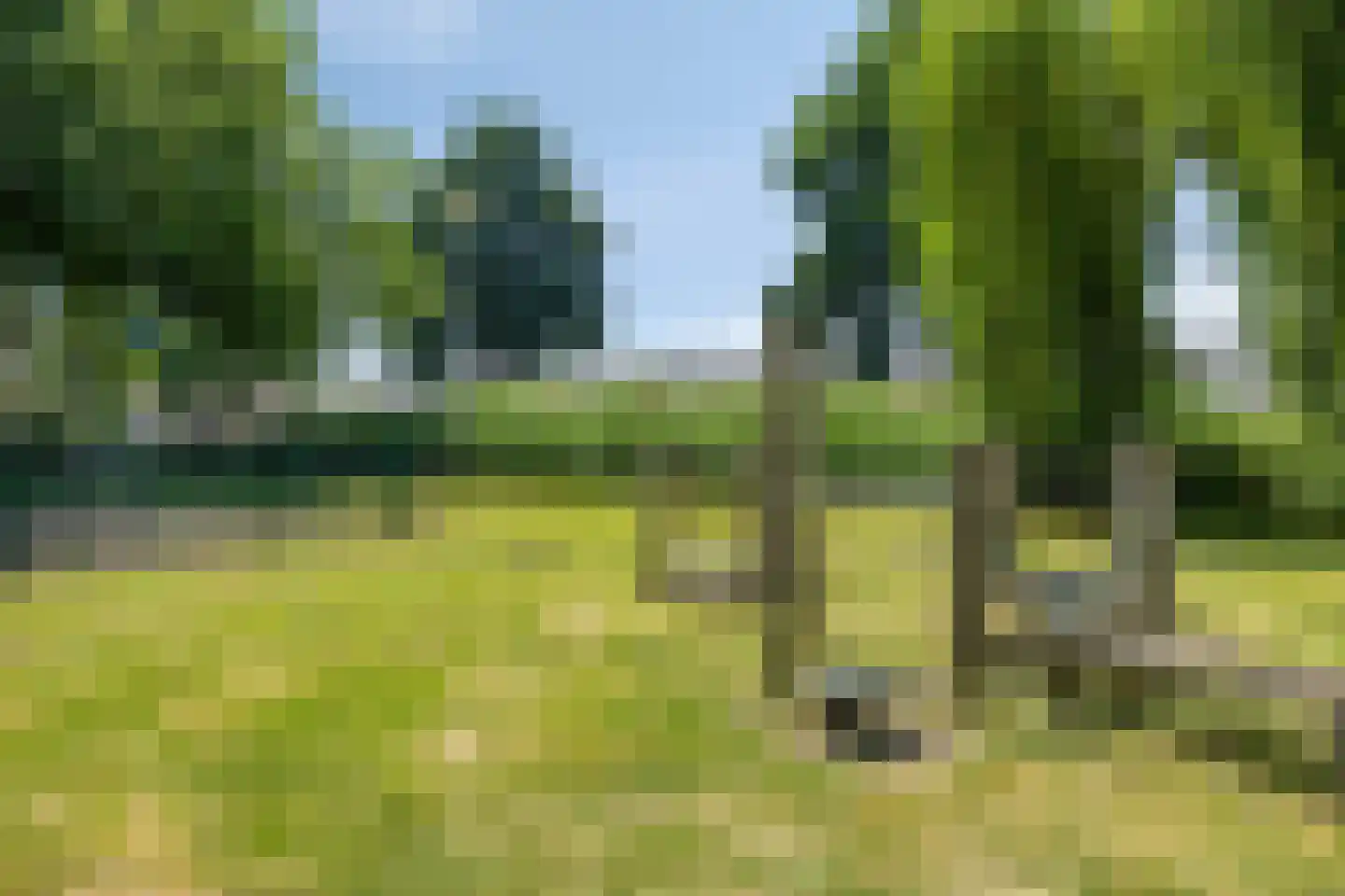 van Ostadelaan 61 Krimpen aan den IJssel thumbnail 64