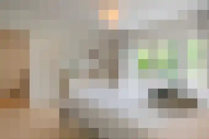 van Ostadelaan 62 Naarden thumbnail 19