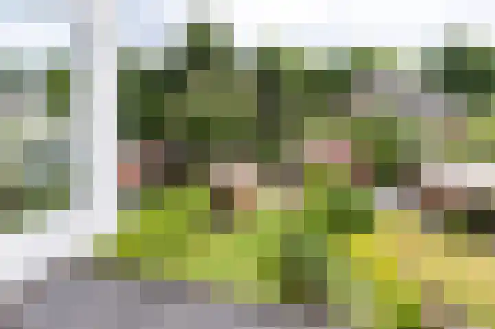 van Ostadelaan 62 Naarden thumbnail 33