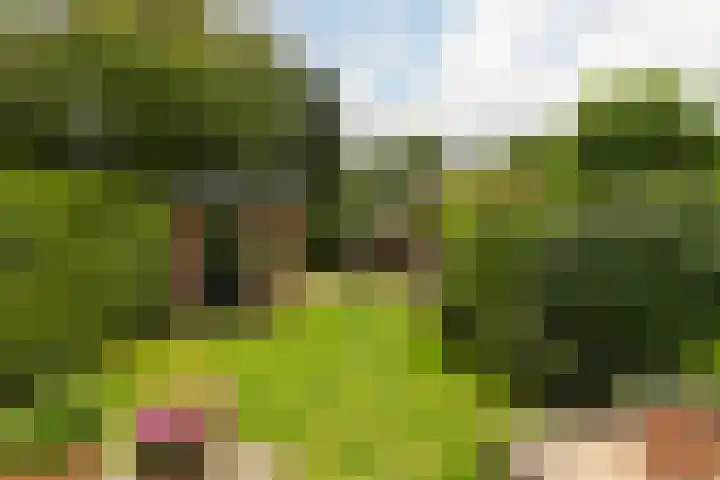 van Ostadelaan 62 Naarden thumbnail 36