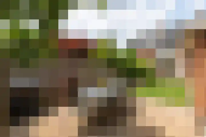 van Ostadelaan 62 Naarden thumbnail 38