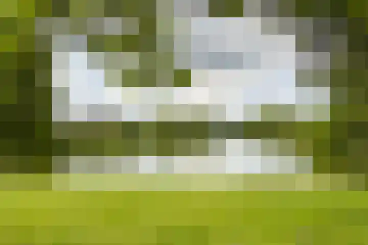 van Ostadelaan 62 Naarden thumbnail 39