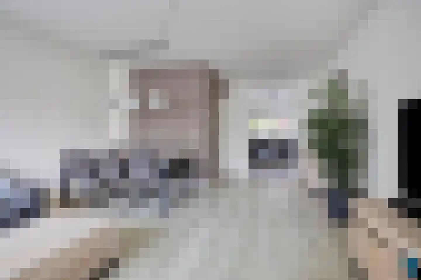 van Ostadelaan 69 Heerhugowaard thumbnail 10