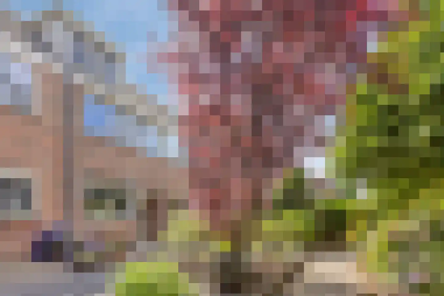 van Ostadelaan 69 Heerhugowaard thumbnail 34