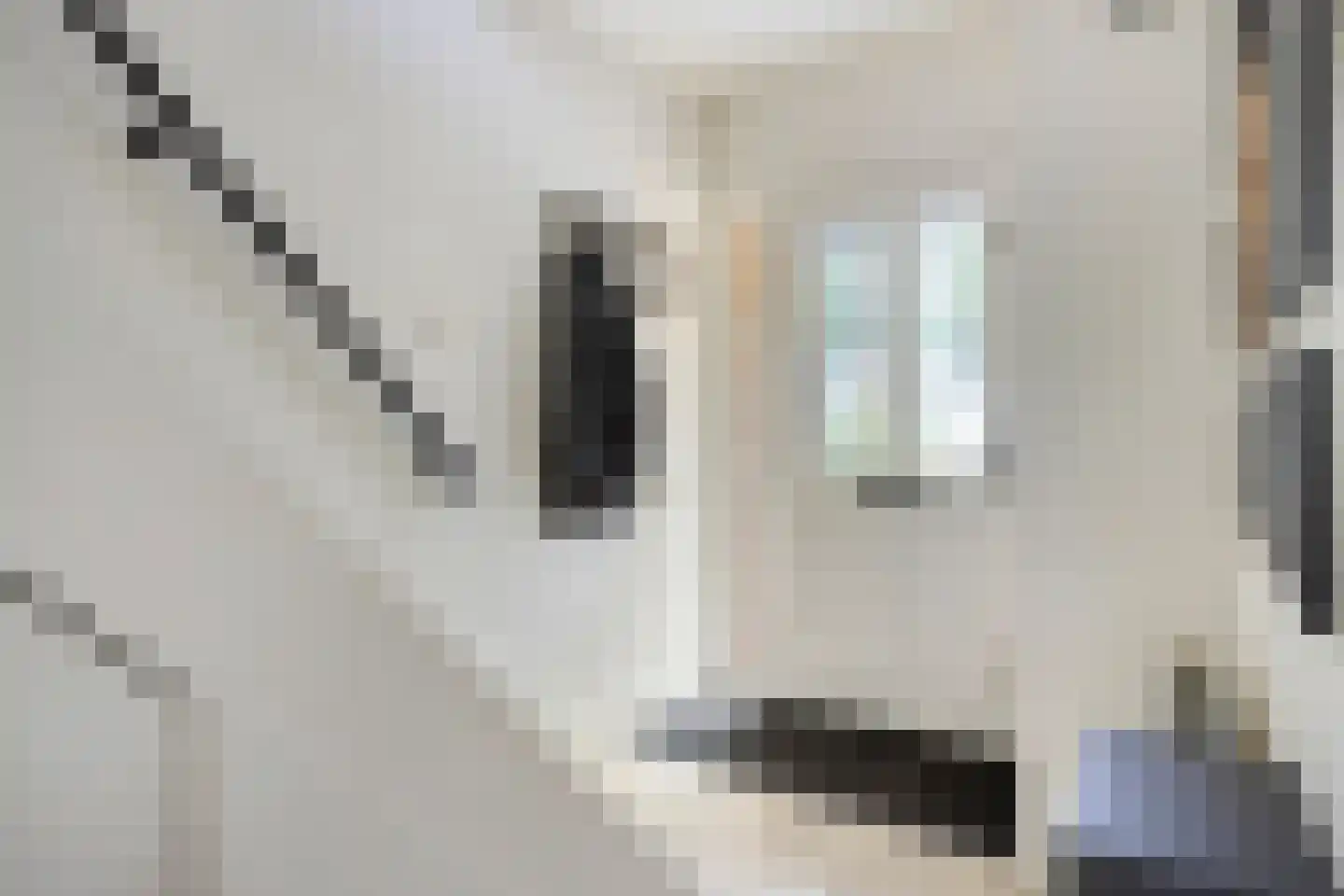 van Ostadelaan 69 Heerhugowaard thumbnail 7