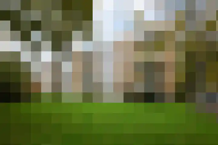 Van Ostadelaan 72 Alkmaar
