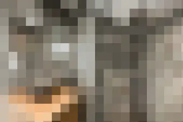 Van Ostadelaan 72 Alkmaar thumbnail 20