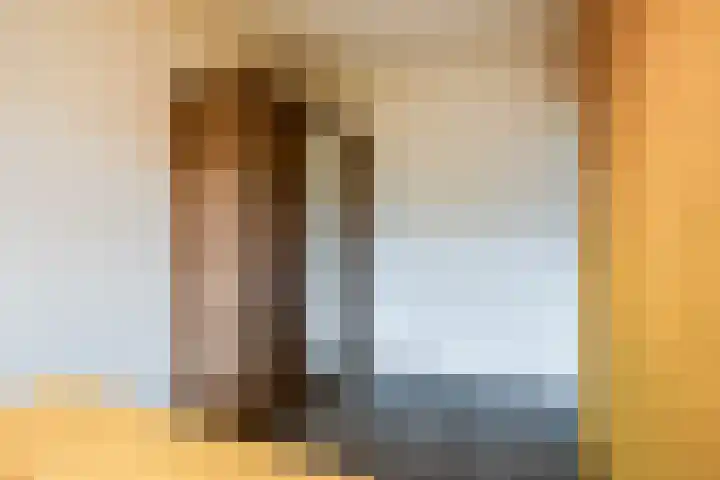 Van Ostadelaan 72 Alkmaar thumbnail 23
