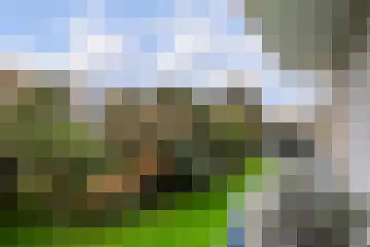 Van Ostadelaan 72 Alkmaar thumbnail 29