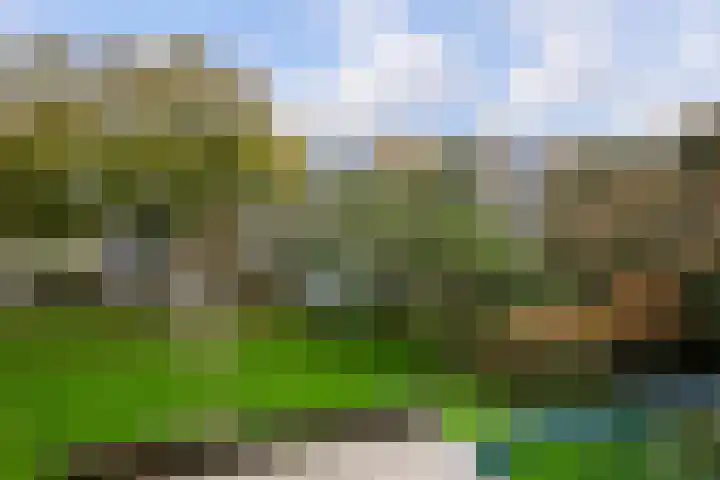 Van Ostadelaan 72 Alkmaar thumbnail 30