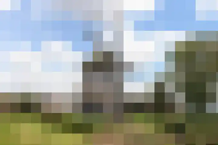 Van Ostadelaan 72 Alkmaar thumbnail 32