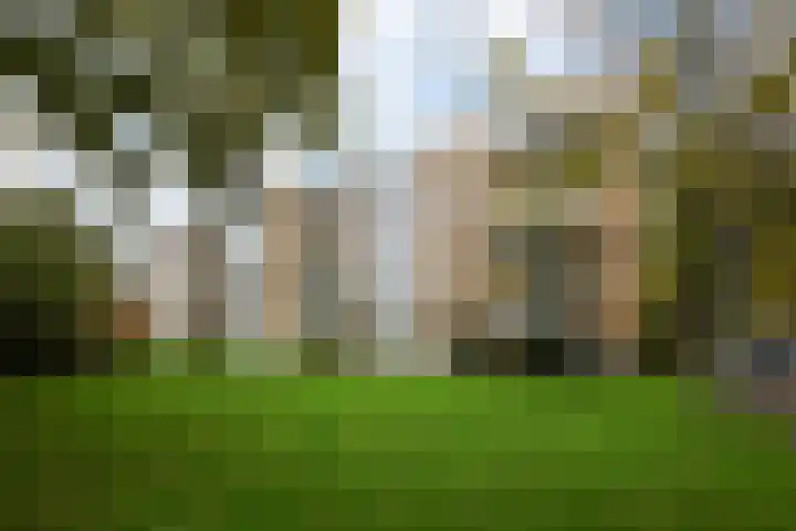 Van Ostadelaan 72 Alkmaar thumbnail 5